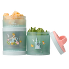 Cinderella snack container with cheese cubes & pea pods inside.