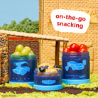 Blue snack containers with food items on a grassy surface with 'on-the-go snacking' text.