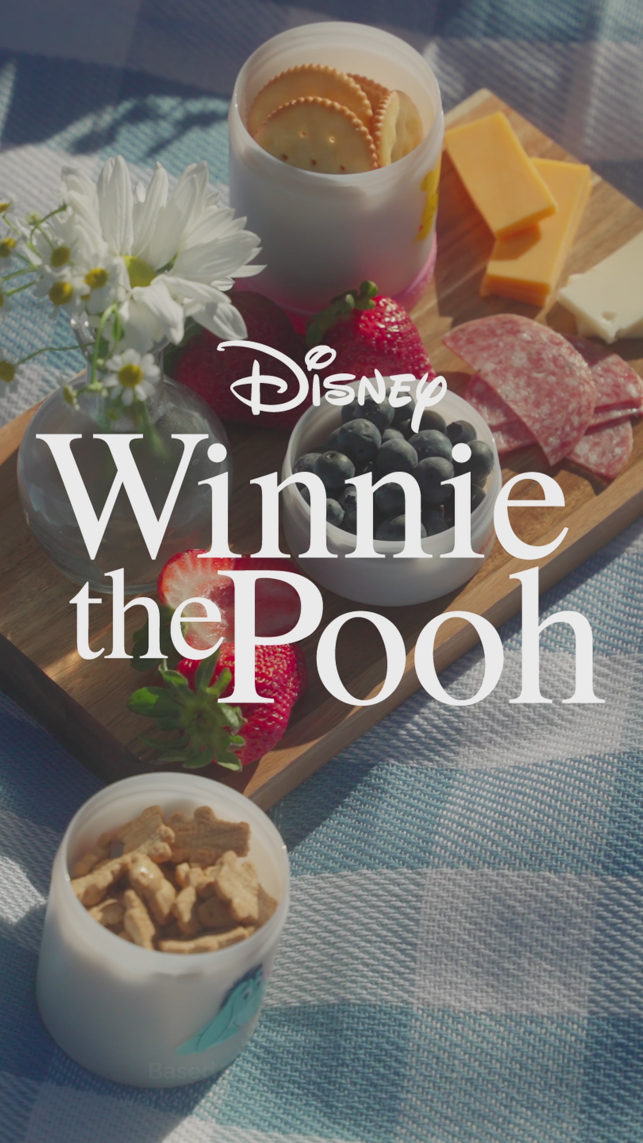 Disney100　シュリンクつき　４ボックス Disney Classics Snack Container Bundle – Whiskware